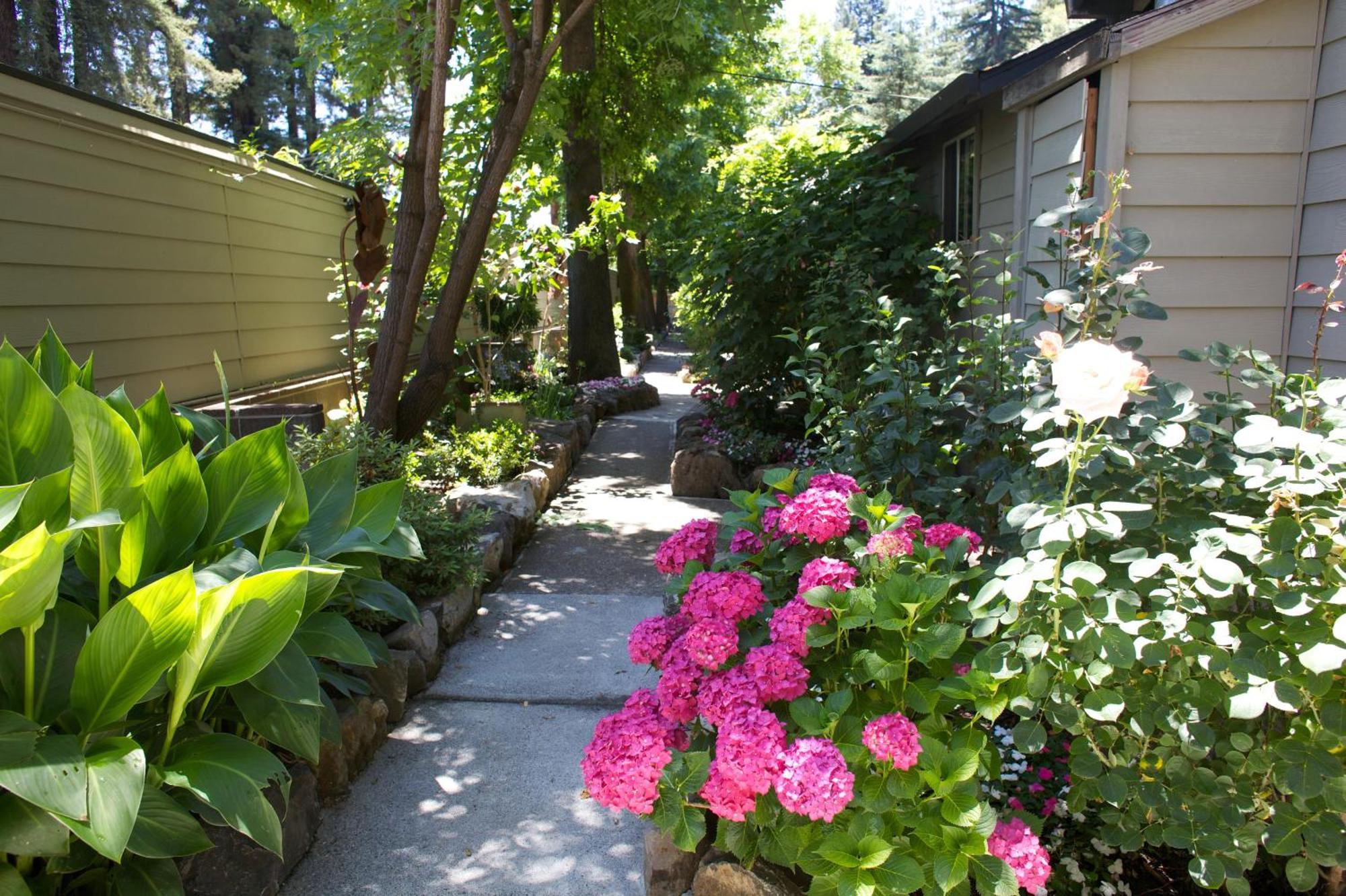 Cottages On River Road Guerneville Eksteriør bilde
